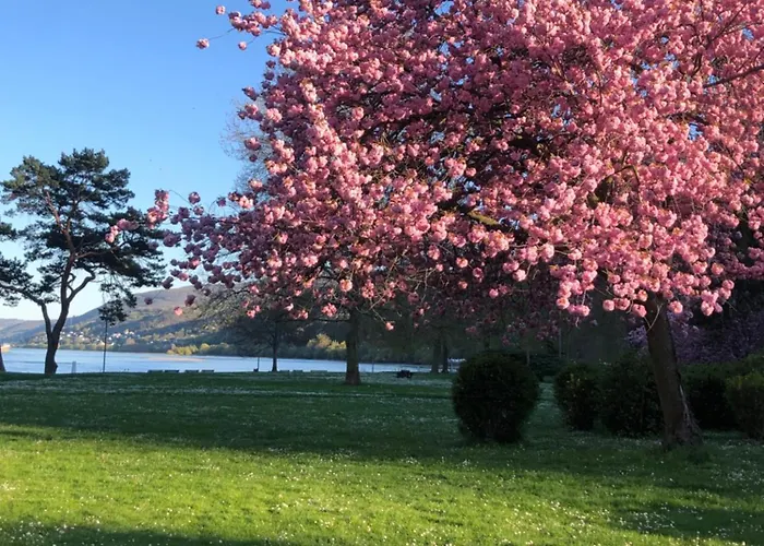 Relax-fewo-roesch * Trechtingshausen